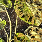 Elephant_Ears-Danvic_Briones