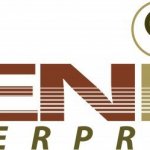 DENISI Ent LOGO LAYOUT