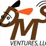 dmsventures