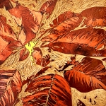 Danvic_centri_petal