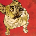 brbulldog